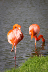 Similar image 7540733