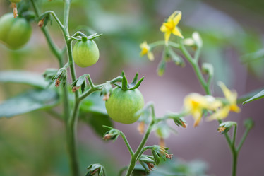 Similar image 7540735