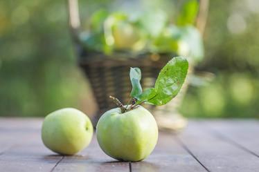 Similar image 7540751