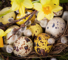 Similar image 7540754