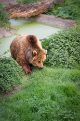 Similar image 7540755