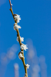 Similar image 7540759