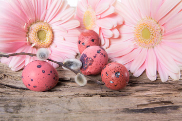 Similar image 7540769