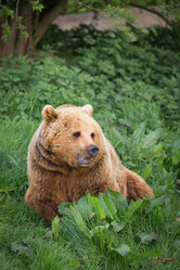 Similar image 7540772