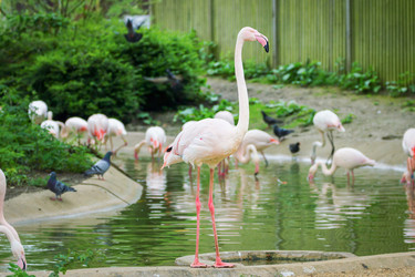 Similar image 7540811