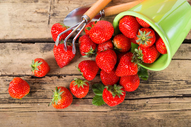 Similar image 7540814