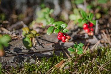 Similar image 7540820