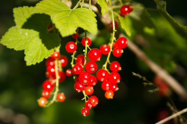 Similar image 7540821