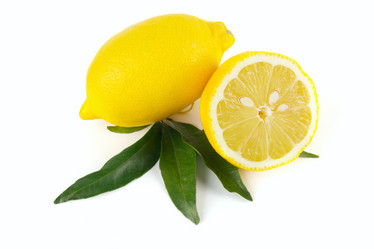 Similar image 7540827