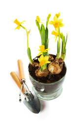 Similar image 7540851