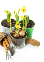 Similar image 7540852