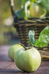 Similar image 7540876