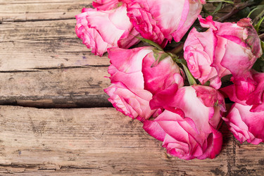 Similar image 7540886