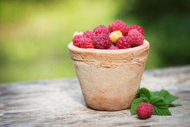 Similar image 7540888