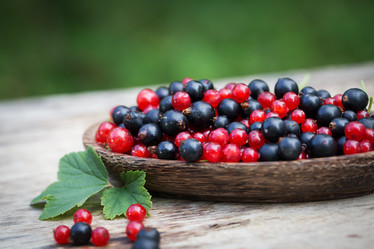 Similar image 7540905