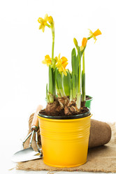 Similar image 7540916