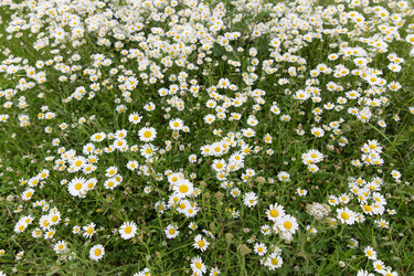 Similar image 7540921