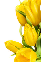 Similar image 7540929