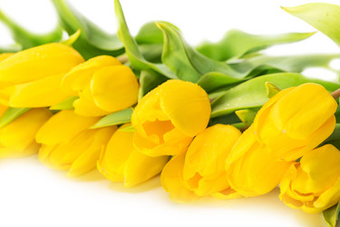 Similar image 7540930