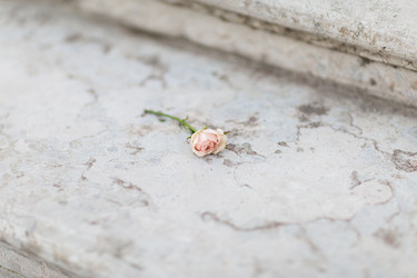 Similar image 7540933