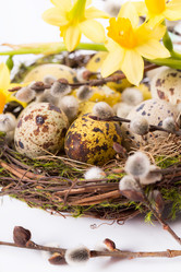 Similar image 7540939