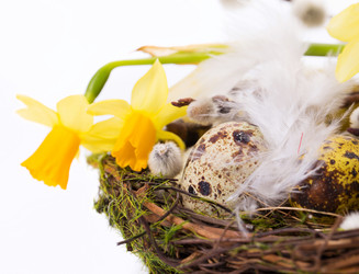 Similar image 7540958