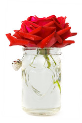 Similar image 7540960