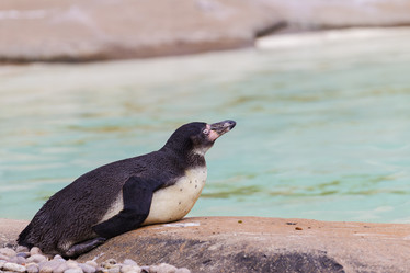 Similar image 7540966