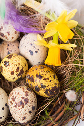 Similar image 7540969