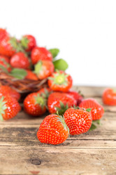 Similar image 7540985