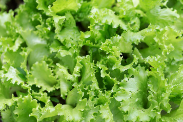 Similar image 7540987