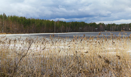 Similar image 7540996