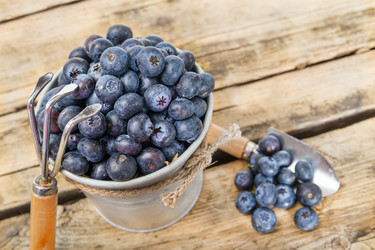 Similar image 7541015