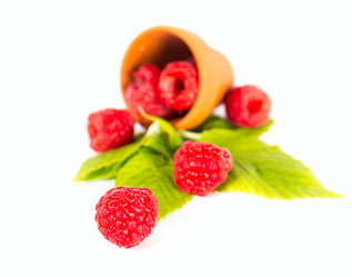 Similar image 7541020