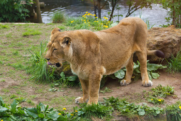 Similar image 7541026