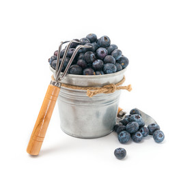 Similar image 7541032