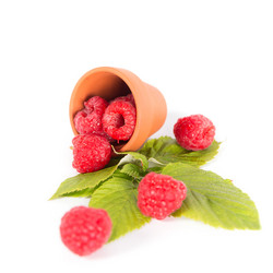 Similar image 7541049