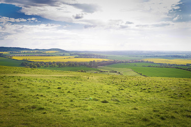 Similar image 7541051