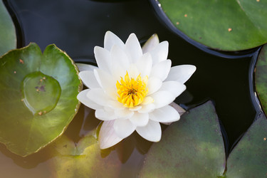 Similar image 7541055