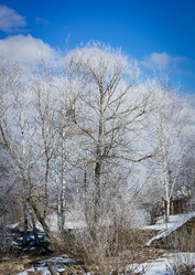 Similar image 7541082