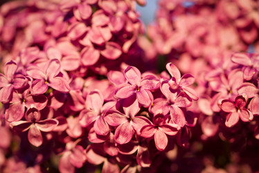 Similar image 7541089