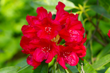 Similar image 7541095