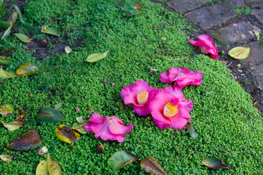 Similar image 7541098