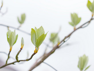 Similar image 7541100