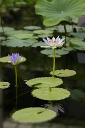 Similar image 7541103