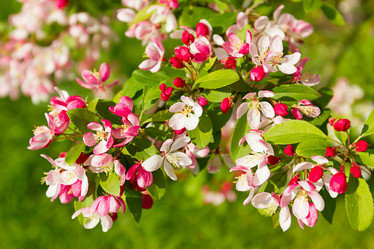 Similar image 7541104