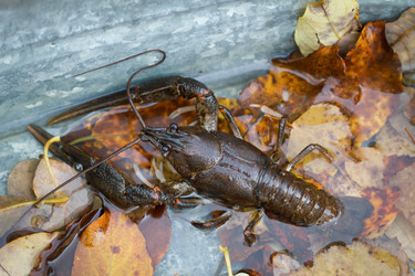 Similar image 7541105