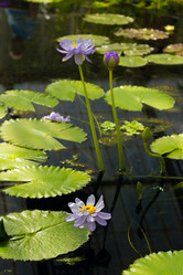 Similar image 7541106