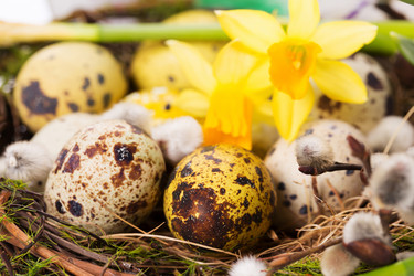 Similar image 7541107