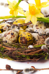 Similar image 7541110